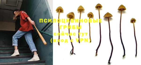 ешки Алексин