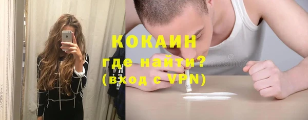 ешки Алексин