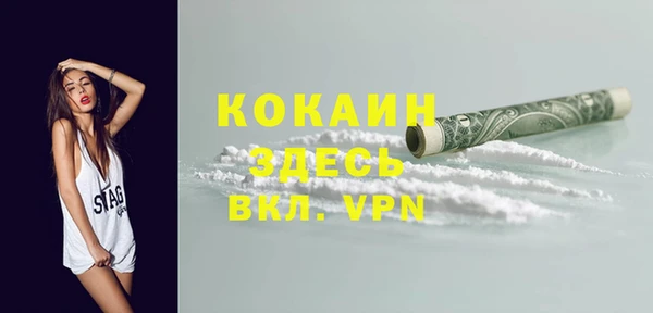 ешки Алексин