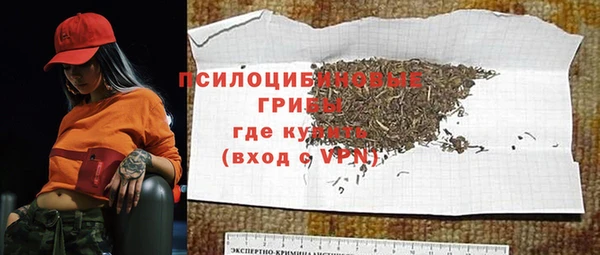 ешки Алексин