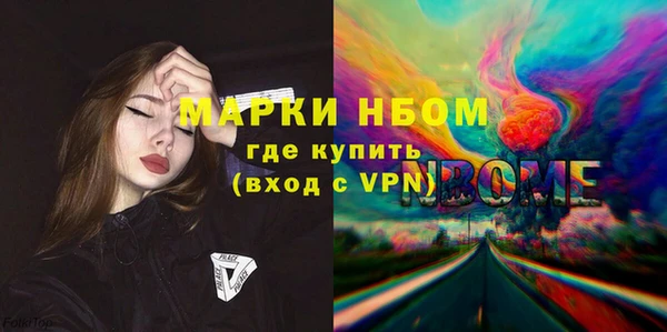 ешки Алексин